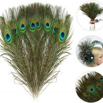 Mwoot 15pcs Natural Peacock Eye Feathers, Screen Green Tail Eye Feathers for DIY Craft,Costume,Wedding Holiday Party Decoration 11.02-12.6inch (28-32CM)