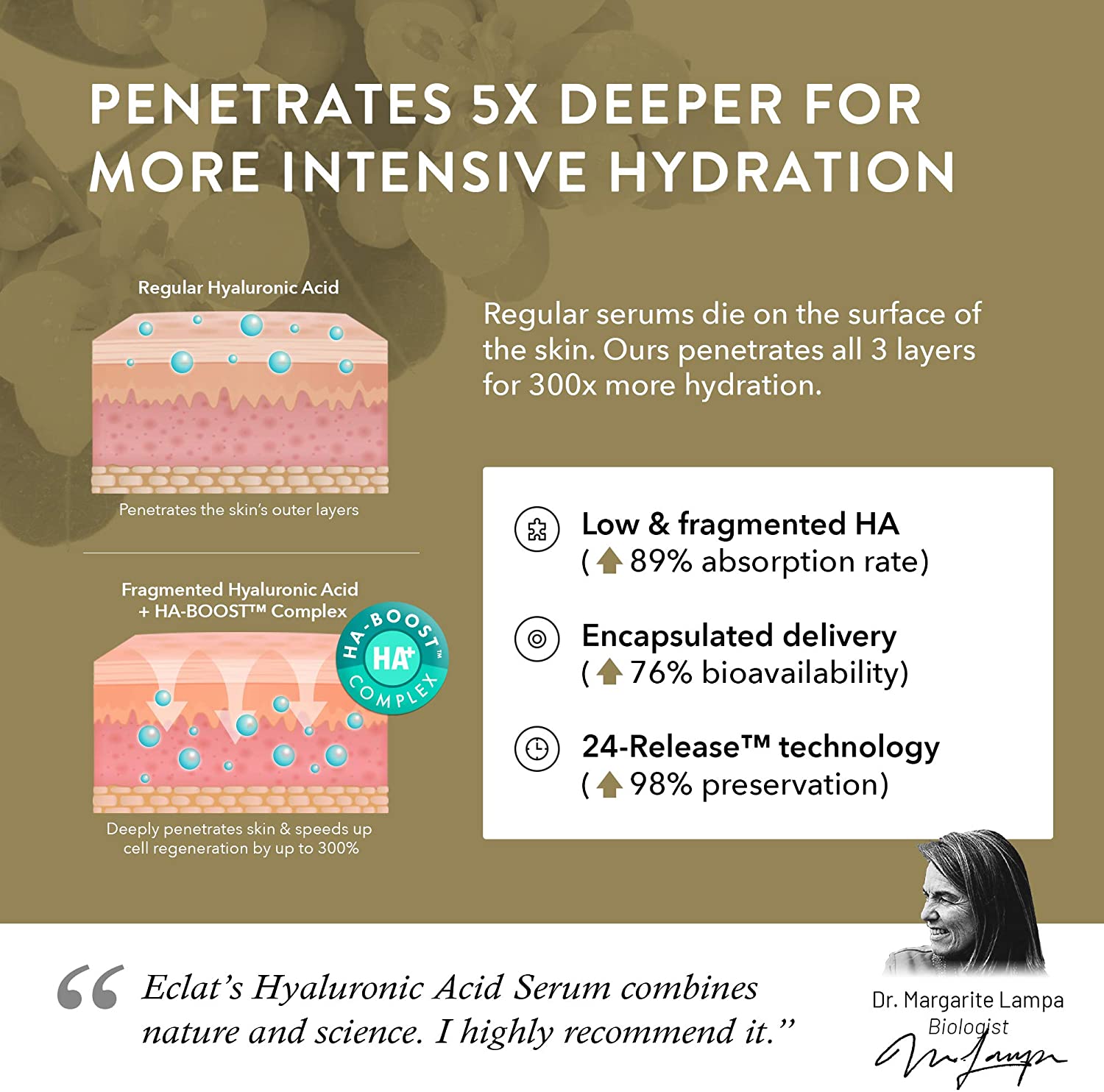 Eclat Skincare Hyaluronic Acid Serum for Face, 2.5% Hyaluronic Acid + 3% B5, Vitamin C & E - Image 3