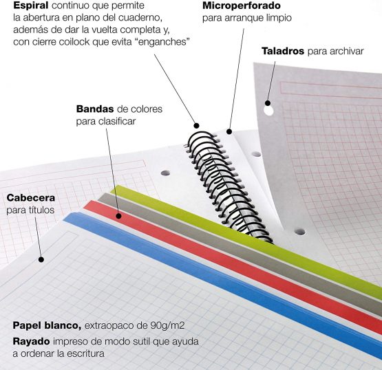 Basicos Mr 6039 Notebook – 4 Colours, A5, 120 Sheets, Squared Recycled Polypropylene - Image 4