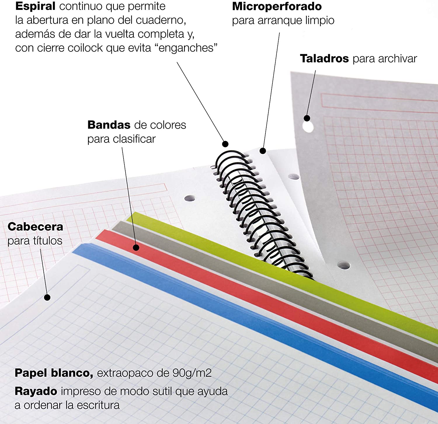 Miquel Rius A4 Grid Notebook With Jungle Design Ghana - View #2