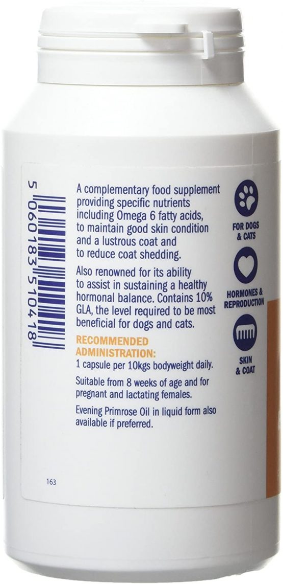 Dorwest Herbs Evening Primrose Oil Capsules for Dogs and Cats 200 Capsules - Image 2