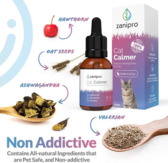 Zanipro® Cat Calming Drops 30ml - 100% Natural UK Made - Calming Supplement Helps Relieve Behavioural Issues At Home & On The Move - Nervous System Safe - Aids Cats - Image 3