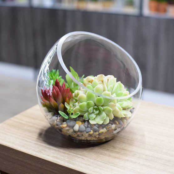 KNIKGLASS Clear Glass Sphere Slant Cut Bubble Bowl, Fish Bowl Vase/Plant Glass Terrarium/Candy Jar, Slant Cut Globe Vase Centerpieces, Round Flower Vase (7“ Tall 7“ Wide) - Image 2