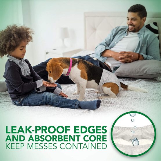 Vet's Best Comfort Fit Dog Diapers | Disposable Female Dog Diapers | Absorbent with Leak Proof Fit | Small 12pk - Image 4