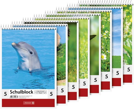 Brunnen 1041905 Pad Ruling Style 5 (A5, 40 Sheets, 5 mm Squared)