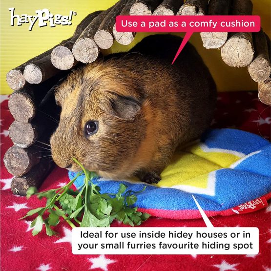 HAYPIGS Guinea Pig Toys and Accessories - Circus Themed Fleece Pee Pads - Additional or Replacement Absorbent Washable Litter Pads - Image 4