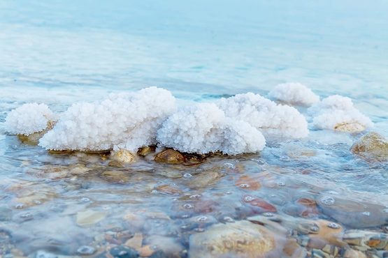 Ever Since - Dead Sea Salt Scrub - 250ml (Blossom) - Image 2