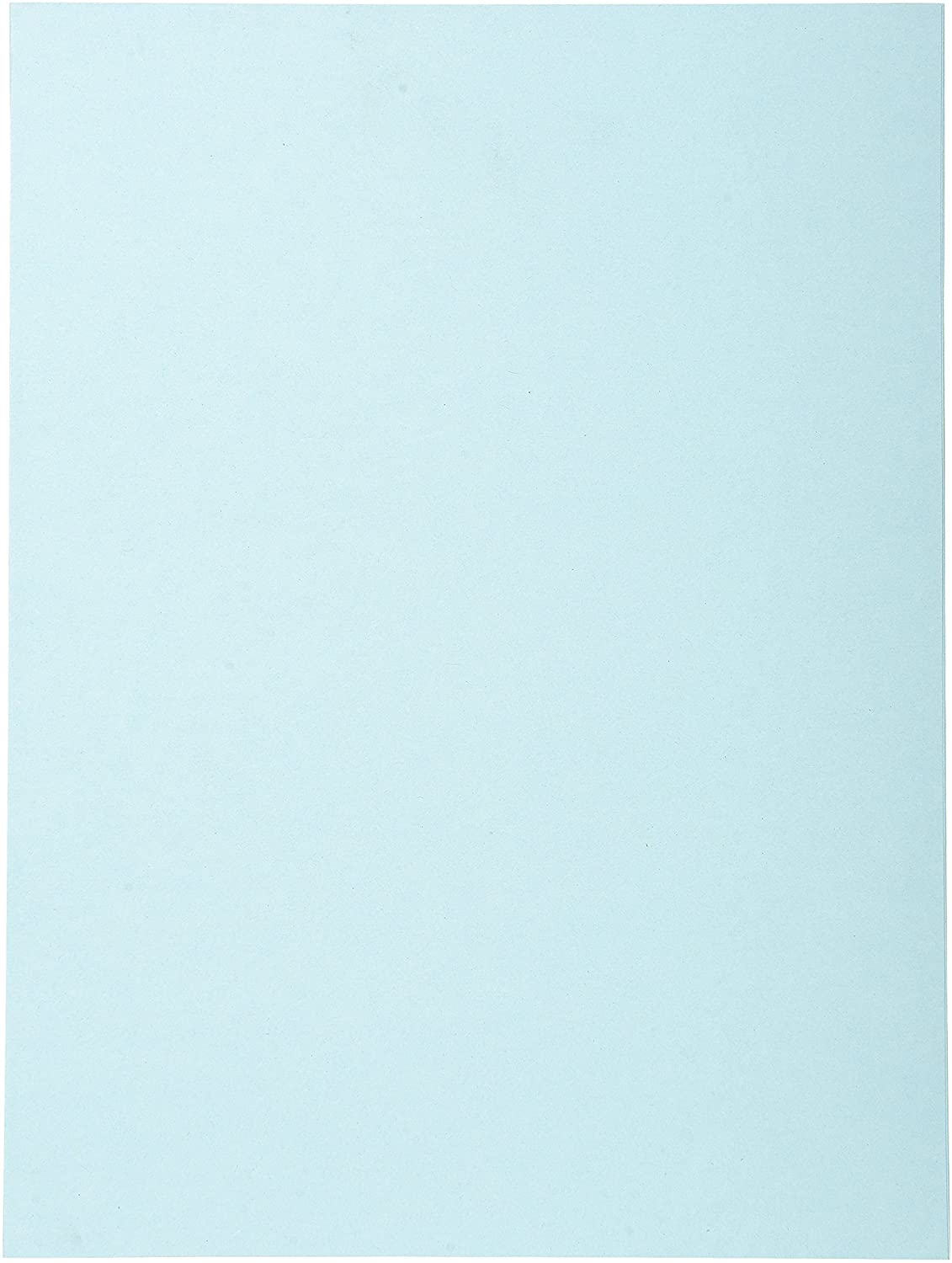 Exacompta, Ref 420006E, Forever Collection, Recycled Square Cut Folder, A4 (210 x 297mm), 170gsm Recycled Board