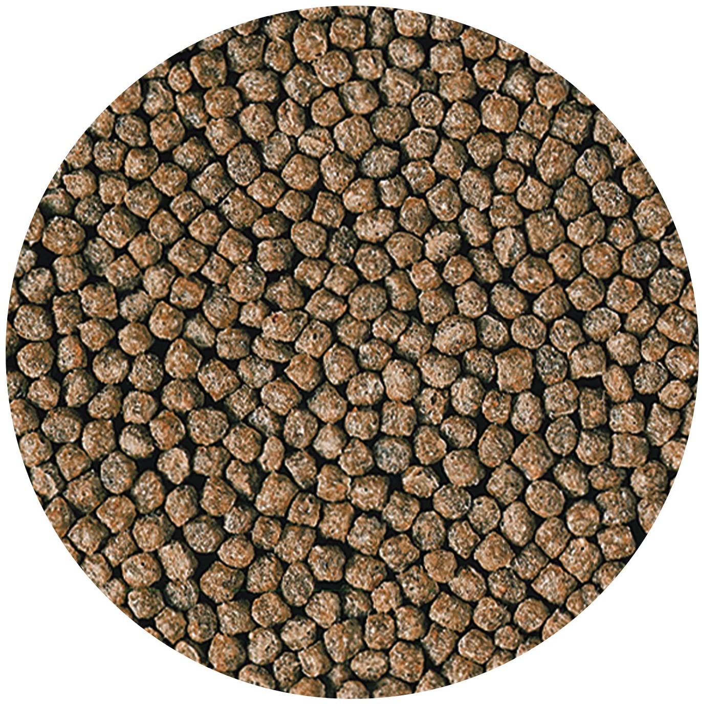 Hikari Staple Baby Pellet Fish Food 3.5oz, Black, 100 g (Pack of 1) - Image 4