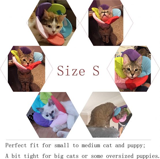 DELIFUR Dog Cone Collar Pet E-Collar Elizabethan Collars Recovery Pet Cone for Cats and Small Dogs Breathable Soft Edge and Easy to Clean(S) - Image 2