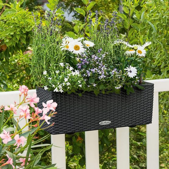 Lechuza BALCONERA Cottage 50 Self Watering Planter Indoor/Outdoor Flower Plant Pot Table and Window Box with Drainage Hole and Plant Substrate Poly-Resin H19 L50 W19 cm Granite - Image 3