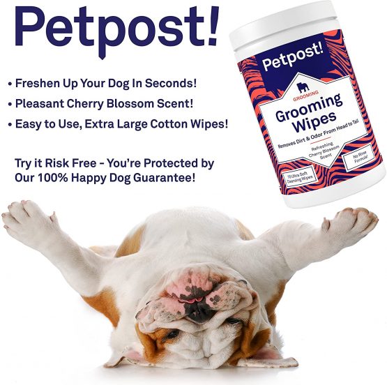 Petpost | Grooming Wipes for Dogs - Large, Deodorizing Wipes with Cherry Blossom Scent - 70 Ultra Soft Cotton Pads in Cleansing Solution (Cherry Blossom) - Image 2