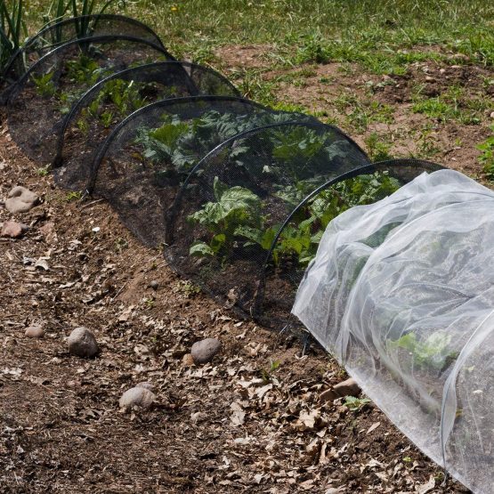 Zonon Bug Insect Mosquito Fly Bird Net Barrier Hunting Blind Plant Protecting Garden Netting (3 m x 4 m, Black) - Image 4