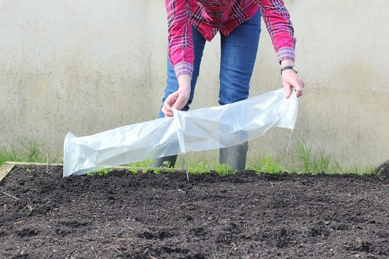 Haxnicks Pack of 3 Easy Seedling Poly Tunnels, 80 cm x 18 cm x 12 cm, ETUN140101 - Image 3