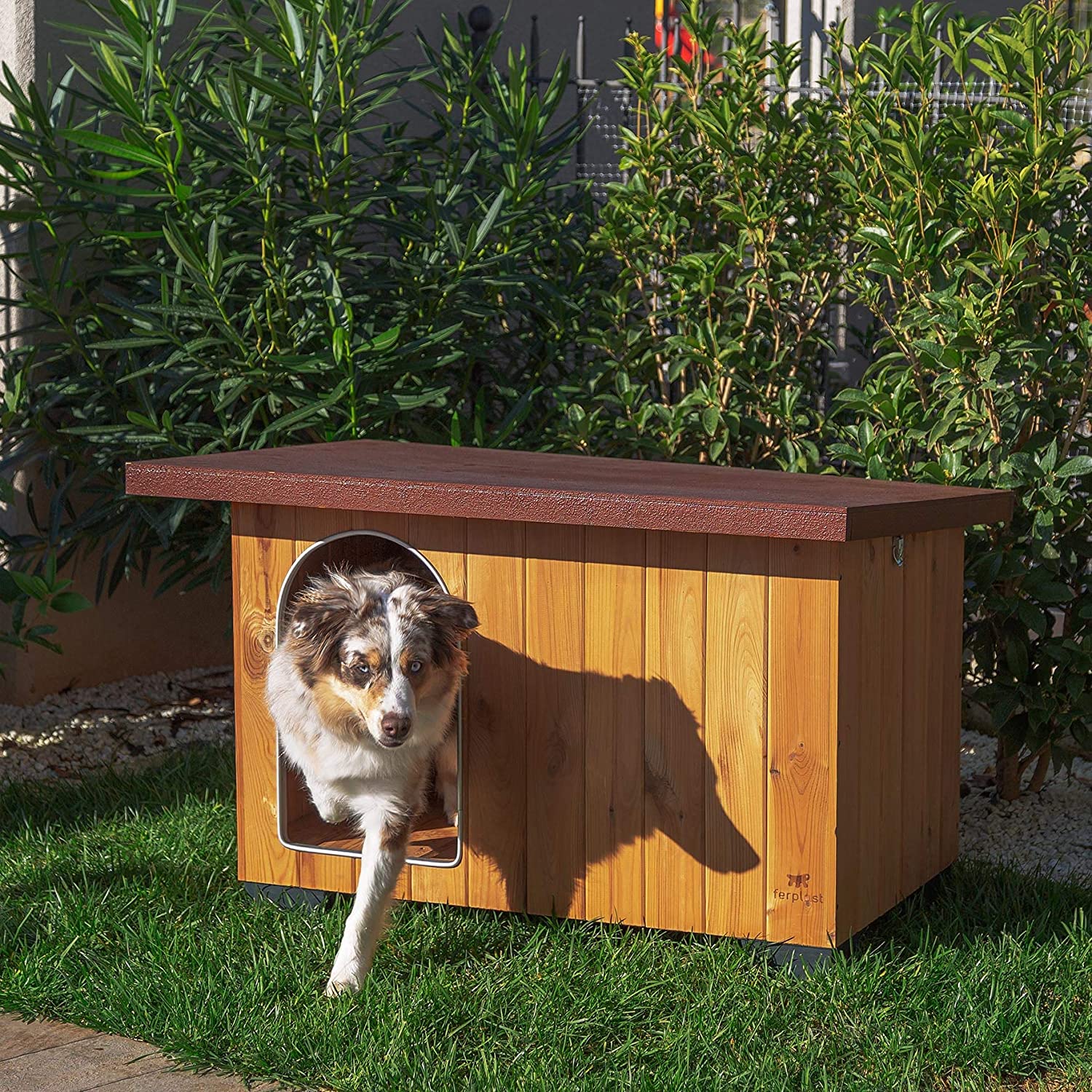 Ferplast BAITA 80 FSC Wooden Dog House, Opening Roof, Waterproof & Anti-UV, Sloping, with Lock, Anti-Bite Aluminium Door - Image 3