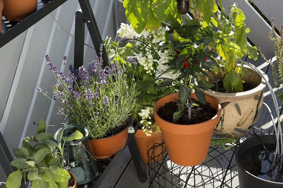 GARDENA city GARDENing Holiday WateRing: plant irrigation Set For indoors And Outdoors, individual irrigation Of up to 36 plants (1265-20) - Image 2