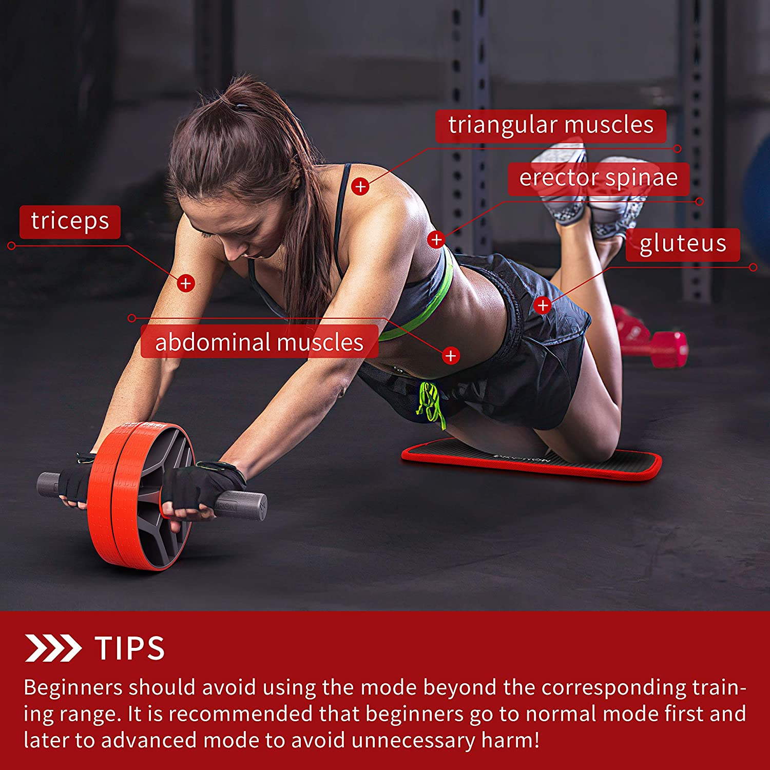 PROIRON Ab Roller Exercise Wheel, 2 Abdominal Training Modes, Fitness ...