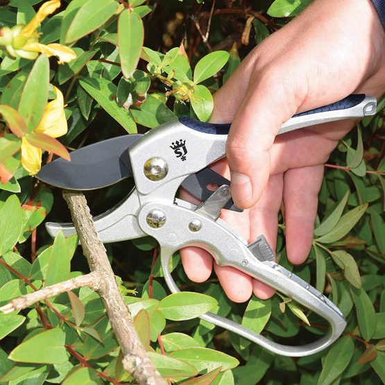 Spear and Jackson Razorsharp Ratchet Anvil Secateurs - Image 2