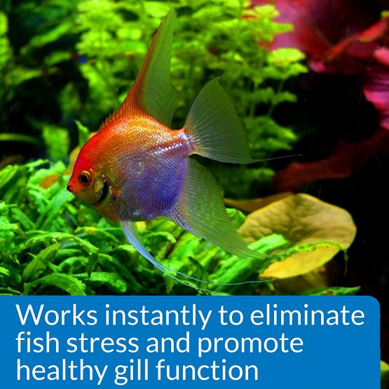 API AMMO-LOCK Freshwater and Saltwater Aquarium Ammonia Detoxifier 118 ml Bottle - Image 4