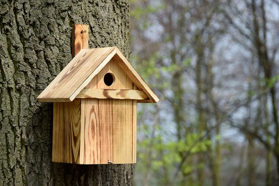 dobar 13075e Flamed Nesting Box with Approach Bar for Wild Birds 23.5 x 17.5 x 33 cm Pine, Brown - Image 3