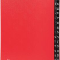 Exacompta Multipart File, A4 270 gsm, 32 Sections (labelled 1-31) - Red