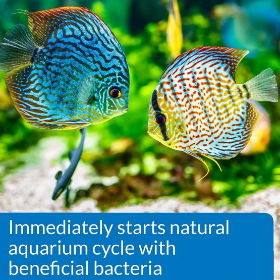 API QUICK START Freshwater and Saltwater Aquarium Nitrifying Bacteria 118 ml Bottle - Image 3