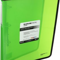 grafoplas 30120520 – Folder with Rings, Green, A4 +