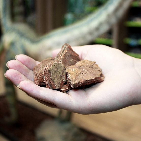 Komodo Forest Terrain Orchid Bark Chips, 12 Litre, Natural Terrain for Reptiles, Orchid Bark Chips, Bark Chips for Reptiles, Reptile Terrain, Reptile Bedding, Large Orchid Bark Chips - Image 4