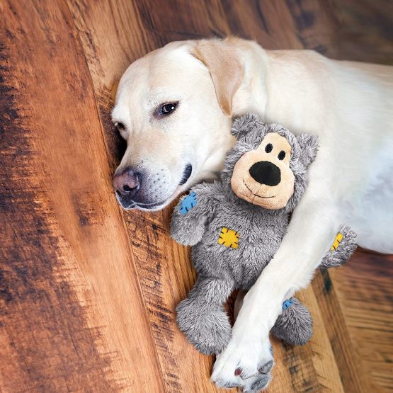 KONG - Wild Knots Bear - Internal Knotted Ropes and Minimal Stuffing for Less Mess (Assorted Colours) - For X-Small Dogs - Image 2