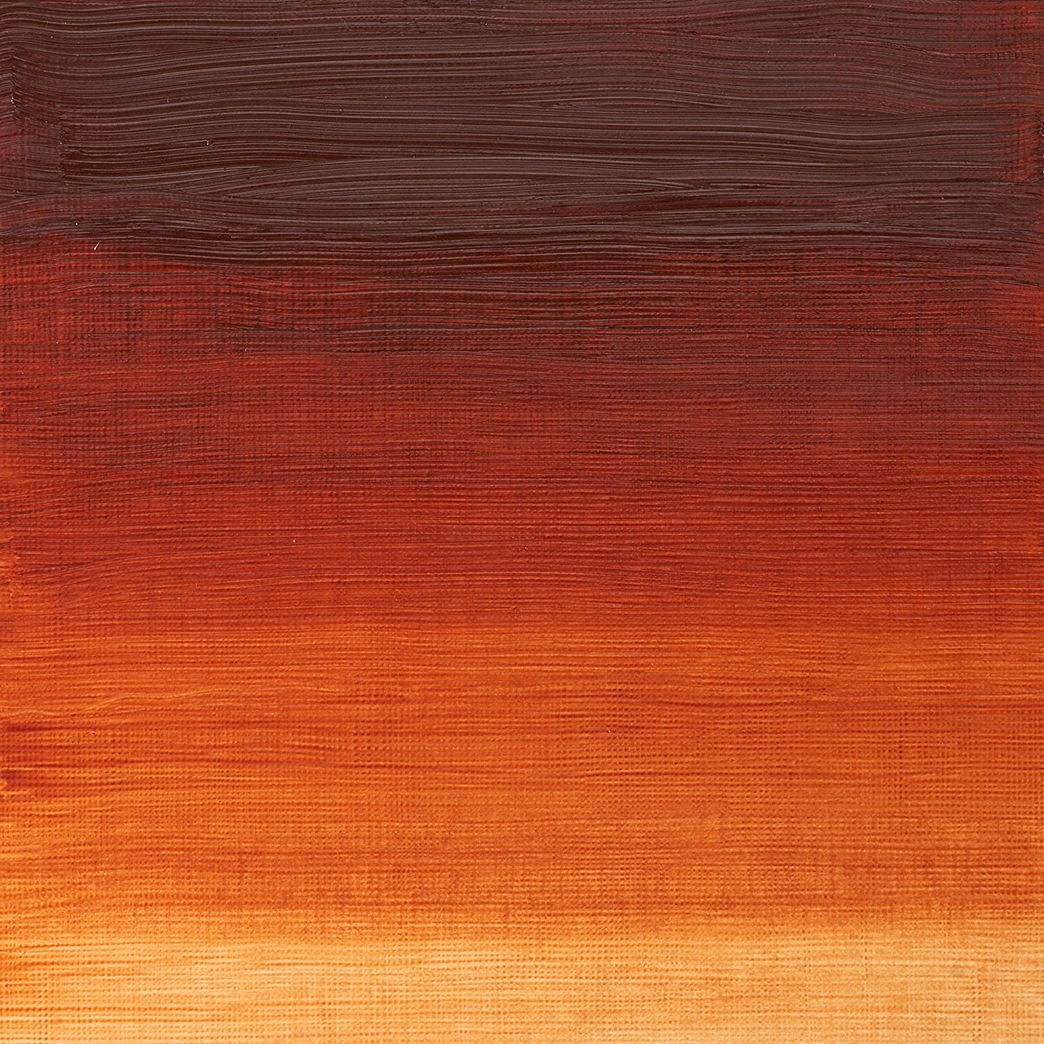 Winsor & Newton Winton Oil Colour Tube - Burnt Sienna, Burnt Sienna 074, 37 ml (Pack of 1) - Image 2