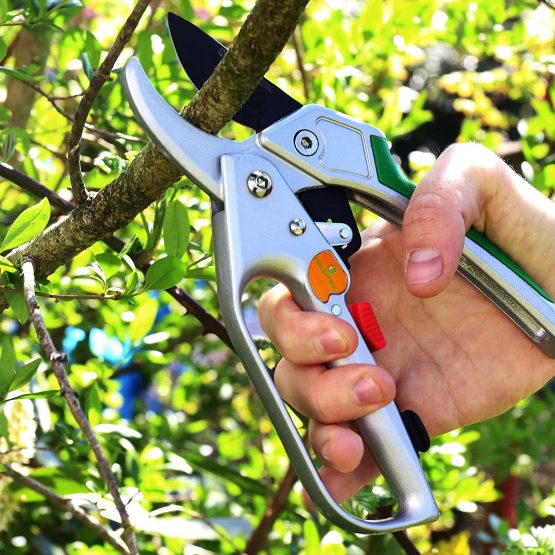 GRÜNTEK Secateurs CONDOR 200 mm, automatic ratchet, Ø20 mm, SK5 blade, aluminium handles with PVC coating, incl. oil sponge and sharpener - Image 4
