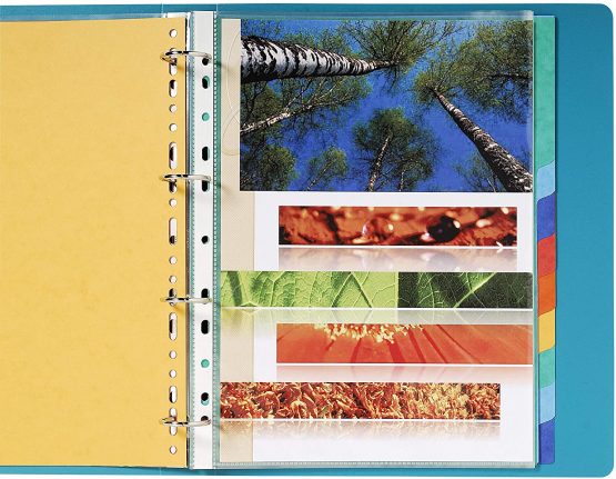 Exacompta Dividers, A4 maxi, 225gsm, 12 part - Multi-coloured - Image 3