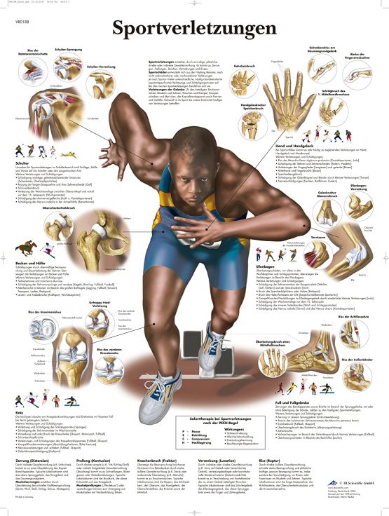 3B Scientific Sports Injuries Chart, 1