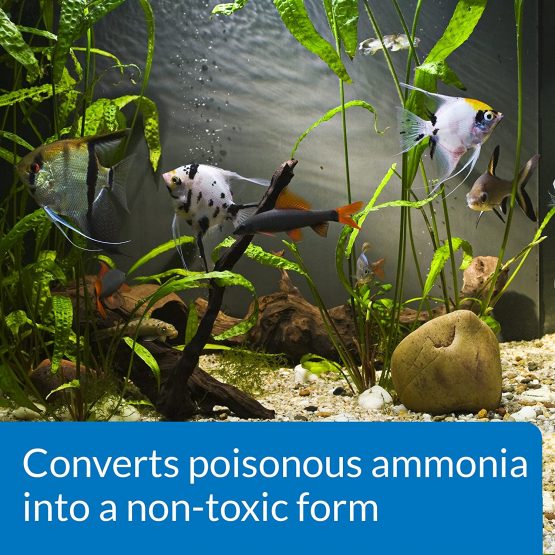 API AMMO-LOCK Freshwater and Saltwater Aquarium Ammonia Detoxifier 118 ml Bottle - Image 3