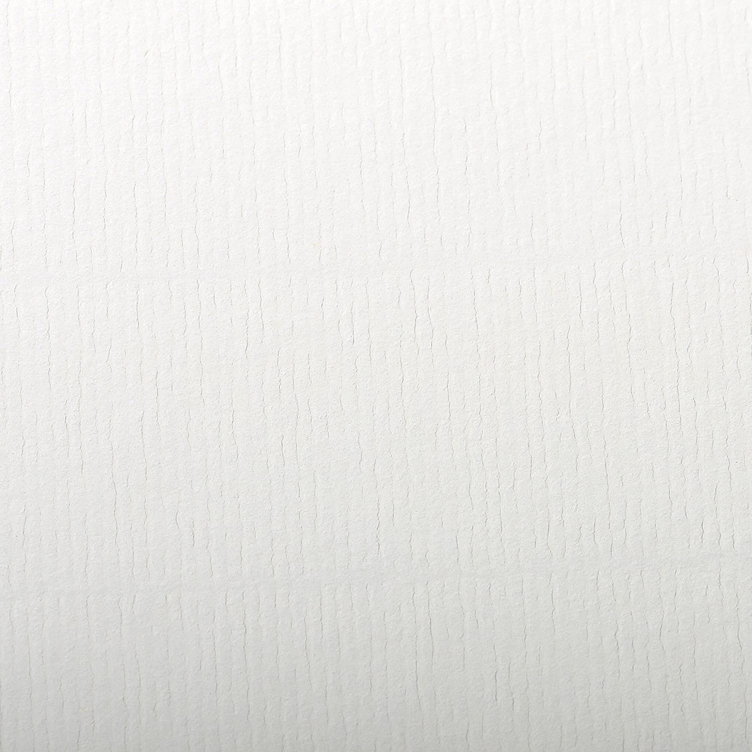 Clairefontaine, Ref 93480C, Ingres Pastel Coloured Paper (Pack of 25 Sheets), 50 x 65cm, 130gsm Drawing Paper, White