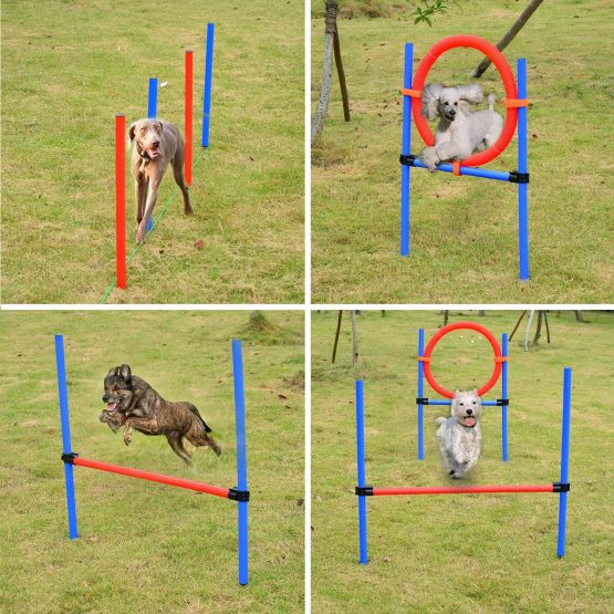 PawHut Pet Agility Training Equipment Dog Play Run Jump Obedience Training Set Adjustable (Pole + Hoop + Hurdle) - Image 2