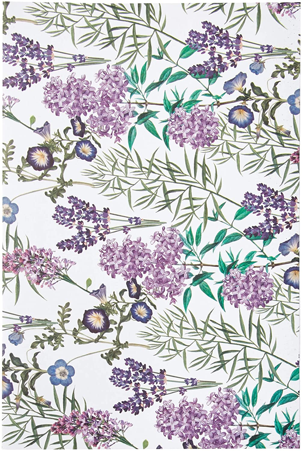 RHS Beauty Flower Blooms Lavender Garden Scented Drawer Liners (Set of