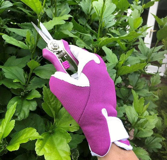 Petal Power Ladies Gardening Mini Pruner Secateurs Set - Two Razor Sharp Purple Ladies Garden Secateurs - Bypass & Trimmer Ladies Secateurs - Best Gardening Gift for women. (Purple) - Image 4