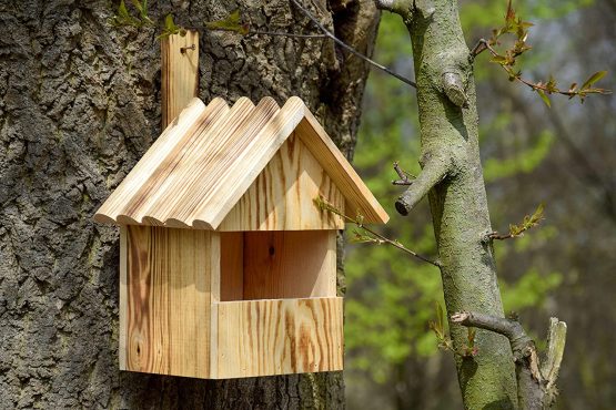 dobar 13076e Flamed Large Half Open Nest Box for Alcove 22.5 x 19.5 x 33 cm Pine, Brown - Image 4
