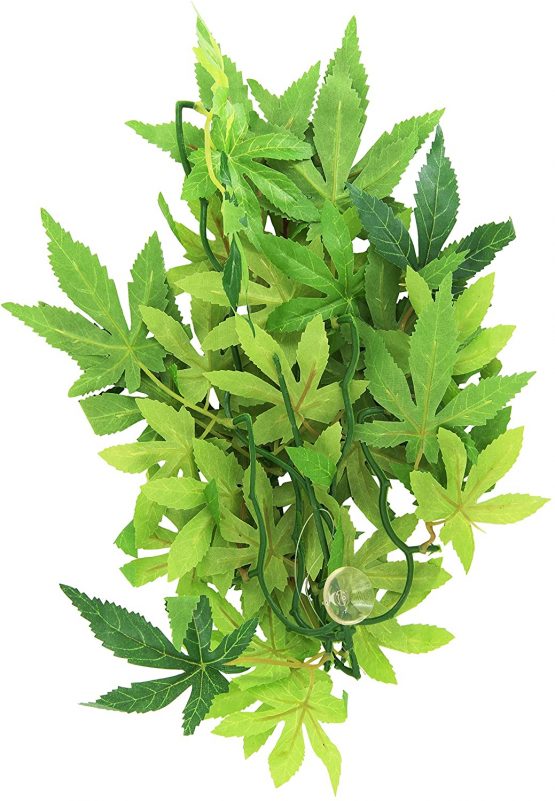 Exo Terra Silk Abutilon Plant, Medium - Image 2