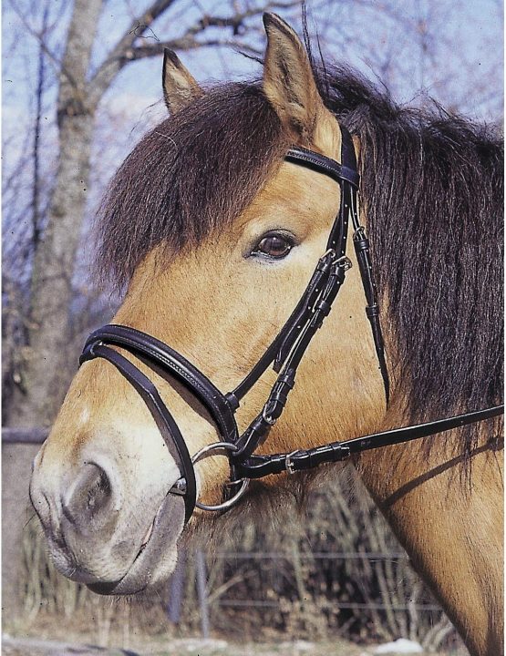KERBL Standard bridle - Image 3