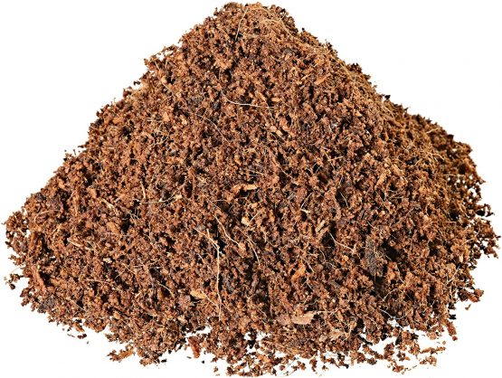 Humusziegel Coco Coir Planting Soil - Pressed Natural Coco Soil for Plants - Peat Briquettes Soil Block Bricks- 6 x 650g, 50 L - Image 2