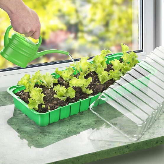 CONNEX FLOR79010 54 x 15 x 12 cm Room Greenhouse - Multi-colour - Image 4