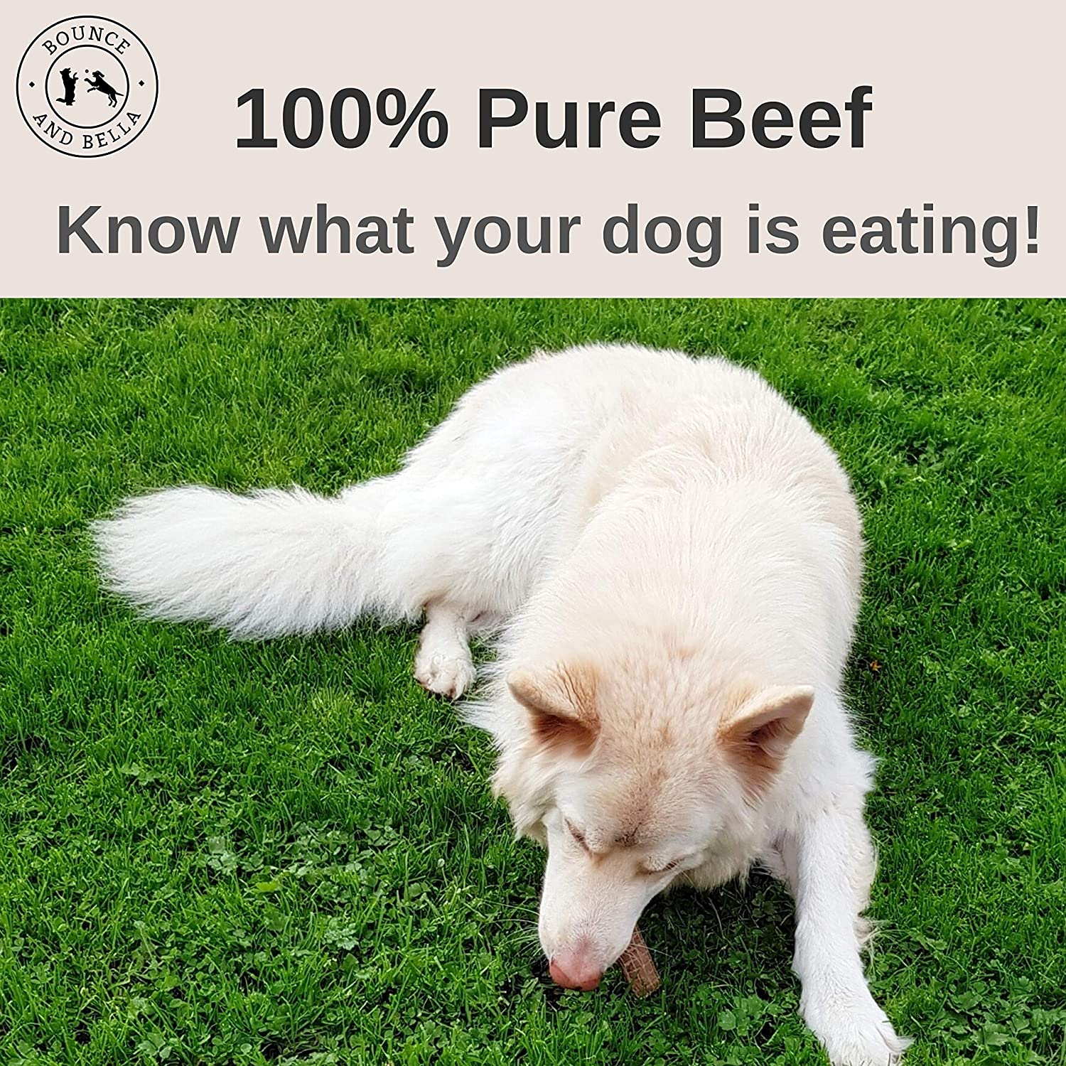 Bounce and Bella Natural Dog Chews, 100% Pure Beef Air-Dried Treats, Natural Dog Treats Just One Ingredient - Image 2