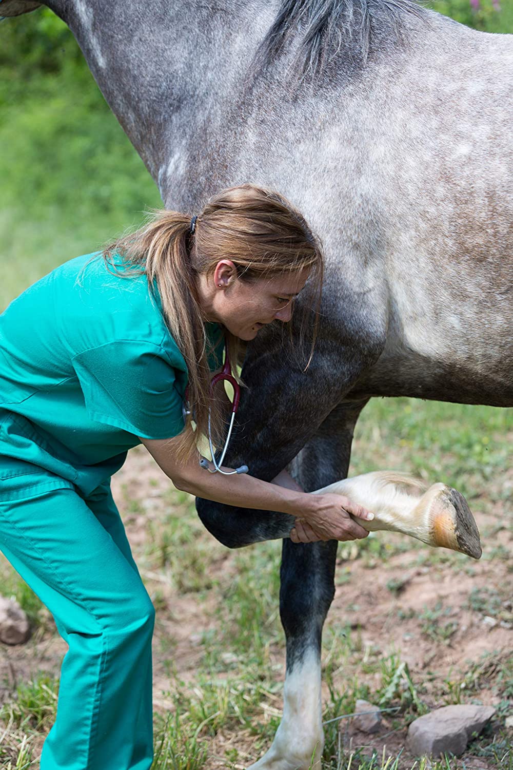Equine Synergy MEGA BOSWELLIA + To Maintain Healthy Joints that are Free of Pain and Stiffness - Image 3