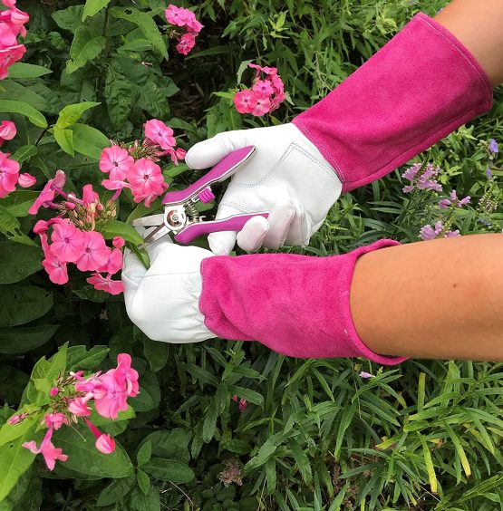 Petal Power Ladies Gardening Mini Pruner Secateurs Set - Two Razor Sharp Purple Ladies Garden Secateurs - Bypass & Trimmer Ladies Secateurs - Best Gardening Gift for women. (Purple) - Image 3