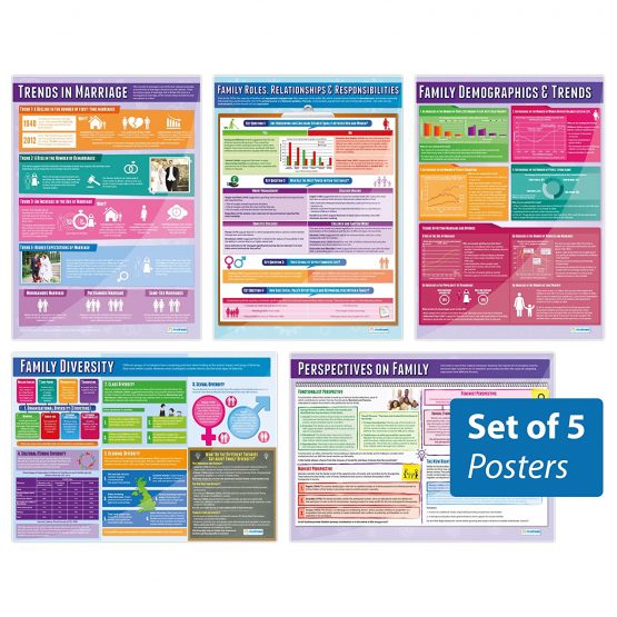 Family Diversity Posters - Set of 5 | Sociology Posters | Laminated Gloss Paper measuring 850mm x 594mm (A1) | Sociology Class Posters | Education Charts by Daydream Education