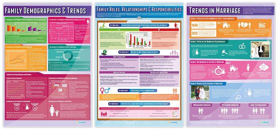 Family Diversity Posters - Set of 5 | Sociology Posters | Laminated Gloss Paper measuring 850mm x 594mm (A1) | Sociology Class Posters | Education Charts by Daydream Education - Image 2