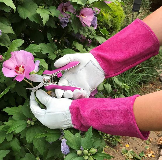 Petal Power Ladies Gardening Mini Pruner Secateurs Set - Two Razor Sharp Purple Ladies Garden Secateurs - Bypass & Trimmer Ladies Secateurs - Best Gardening Gift for women. (Purple) - Image 2