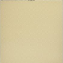 Bazzill Basics Paper ScrapBooking Sheets Dotted SandBox, Beige